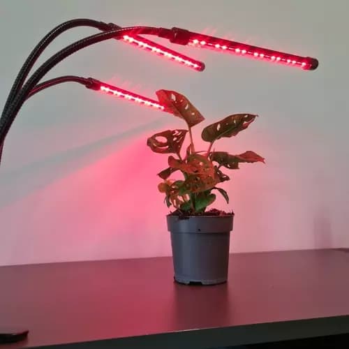 Lampe 20 LED 3stk for plantevekst Gardlov 19242