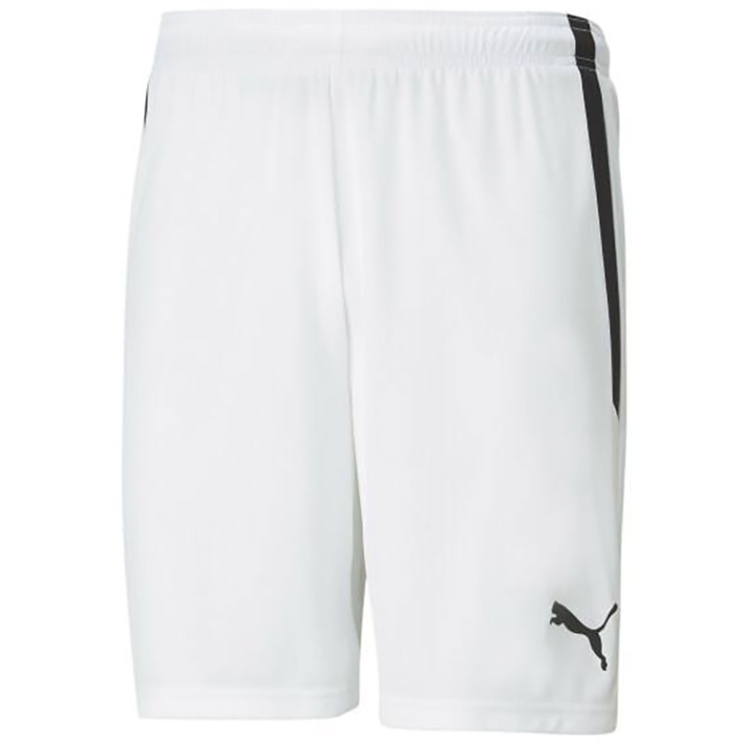 Puma LIGA Trainingsset