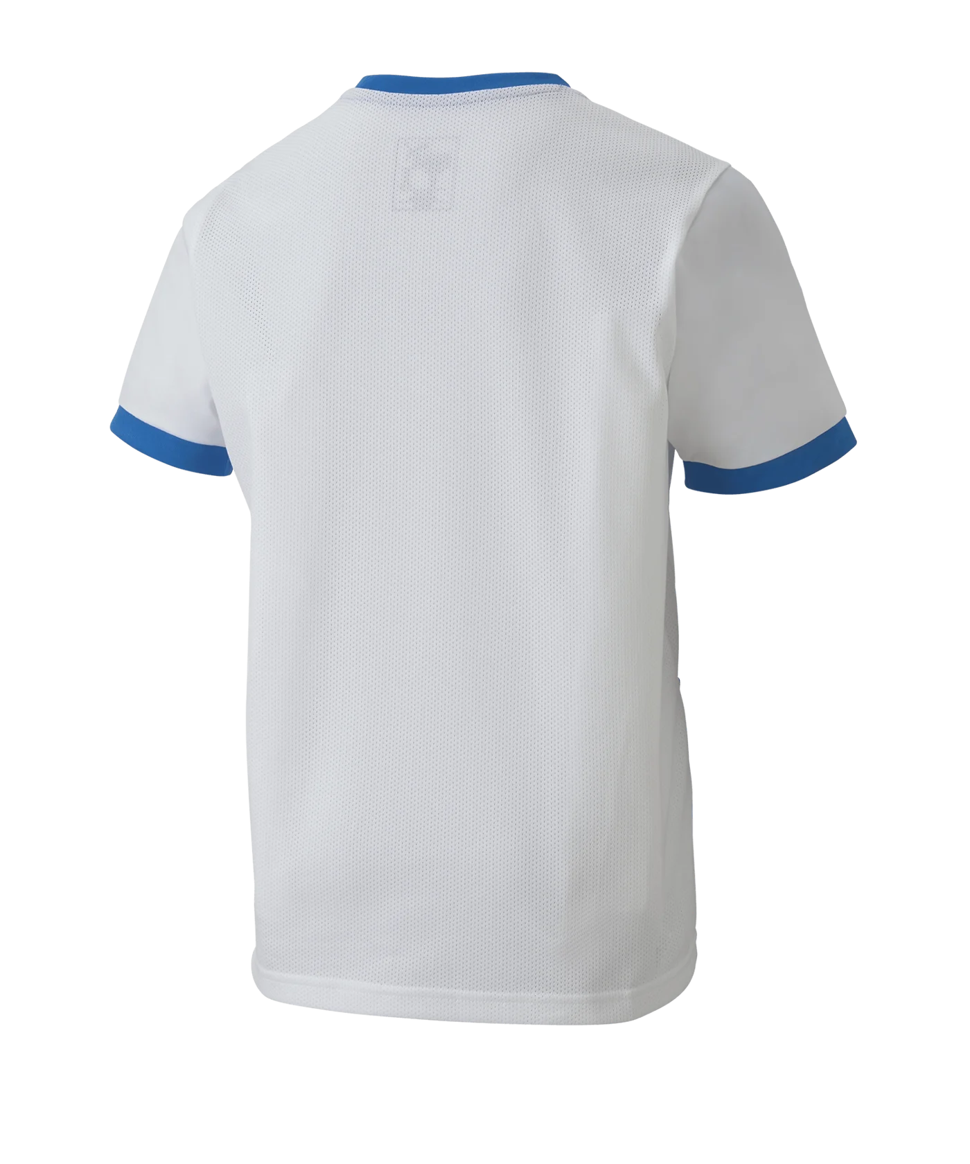 PUMA teamGOAL 23 Trikot kurzarm Kids Weiss F12