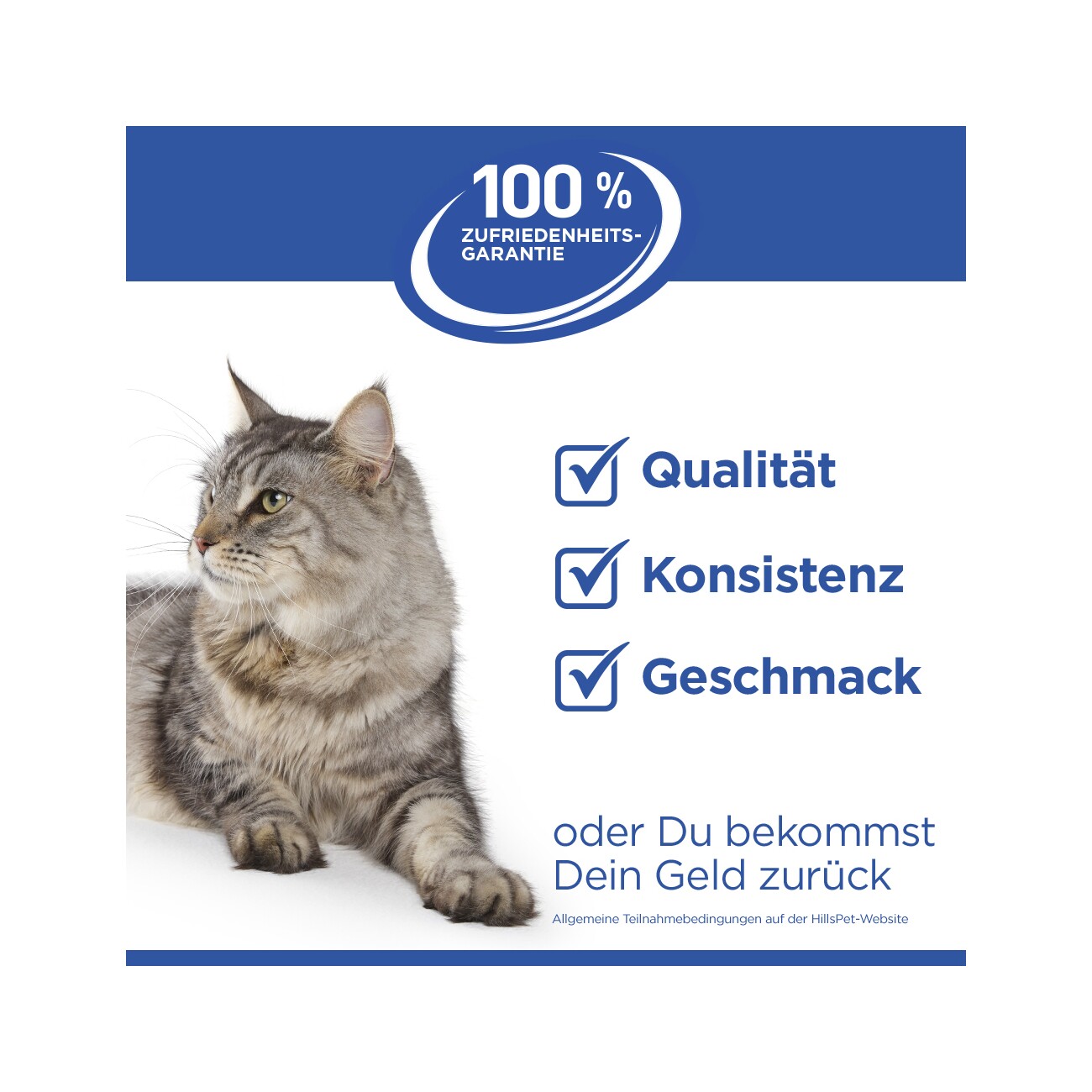 Hill's Science Plan Perfect Digestion Kitten 1,5 kg