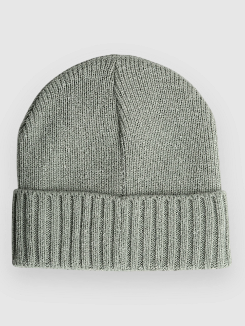RIPNDIP Lord Nermal Beanie sage