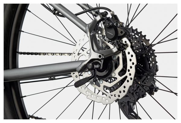 VTT Semi-Rigide Femme Cannondale Trail Women's 5 Shimano Deore 10V 27.5'' Gris Violet Lavender