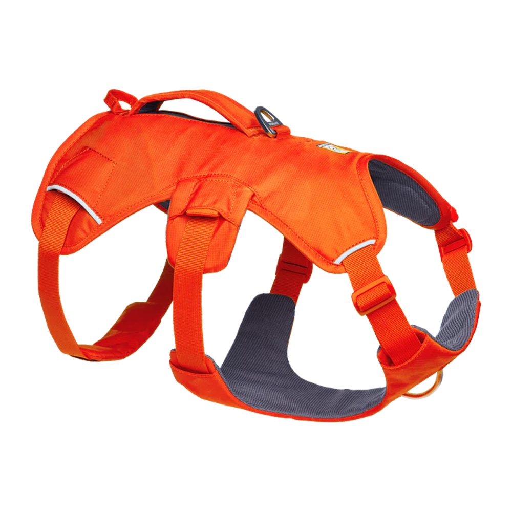 Ruffwear Webmaster Harness
