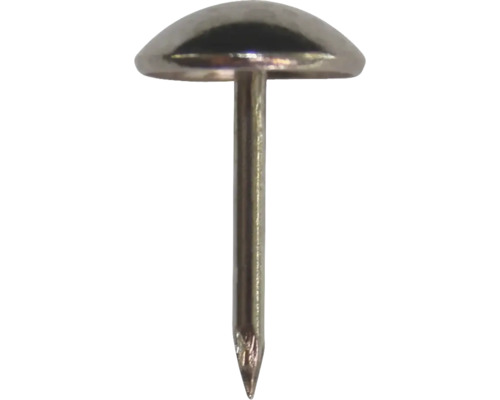 Meubelspijkers 6,5 mm vernikkeld, 60 stuks