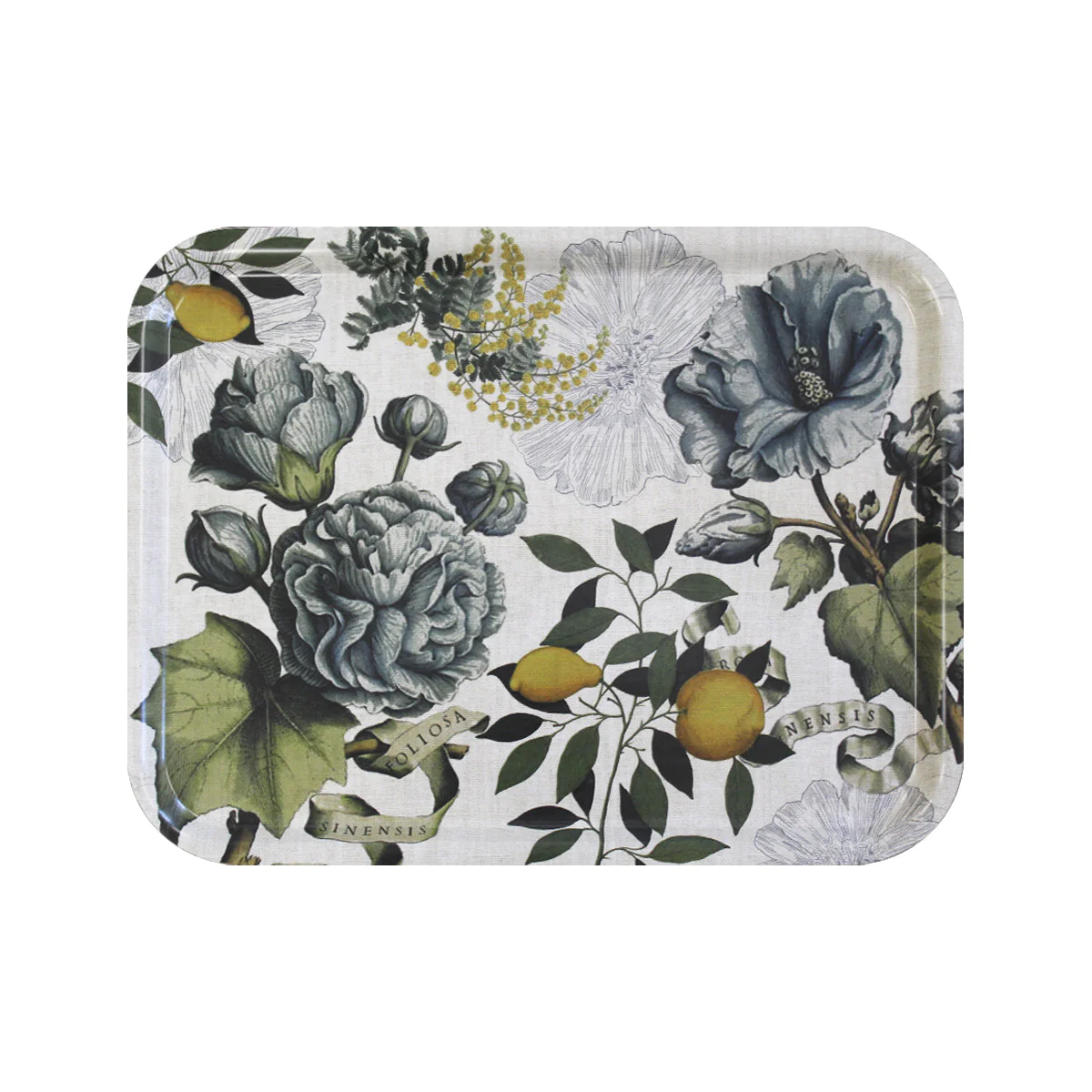 Plateau bois multicolore 33X43 Garnier Thiebaut