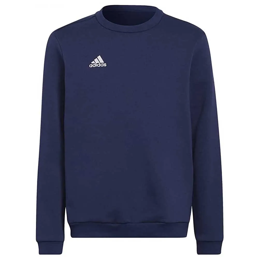 Moletom adidas Entrada 22 Stadium SW