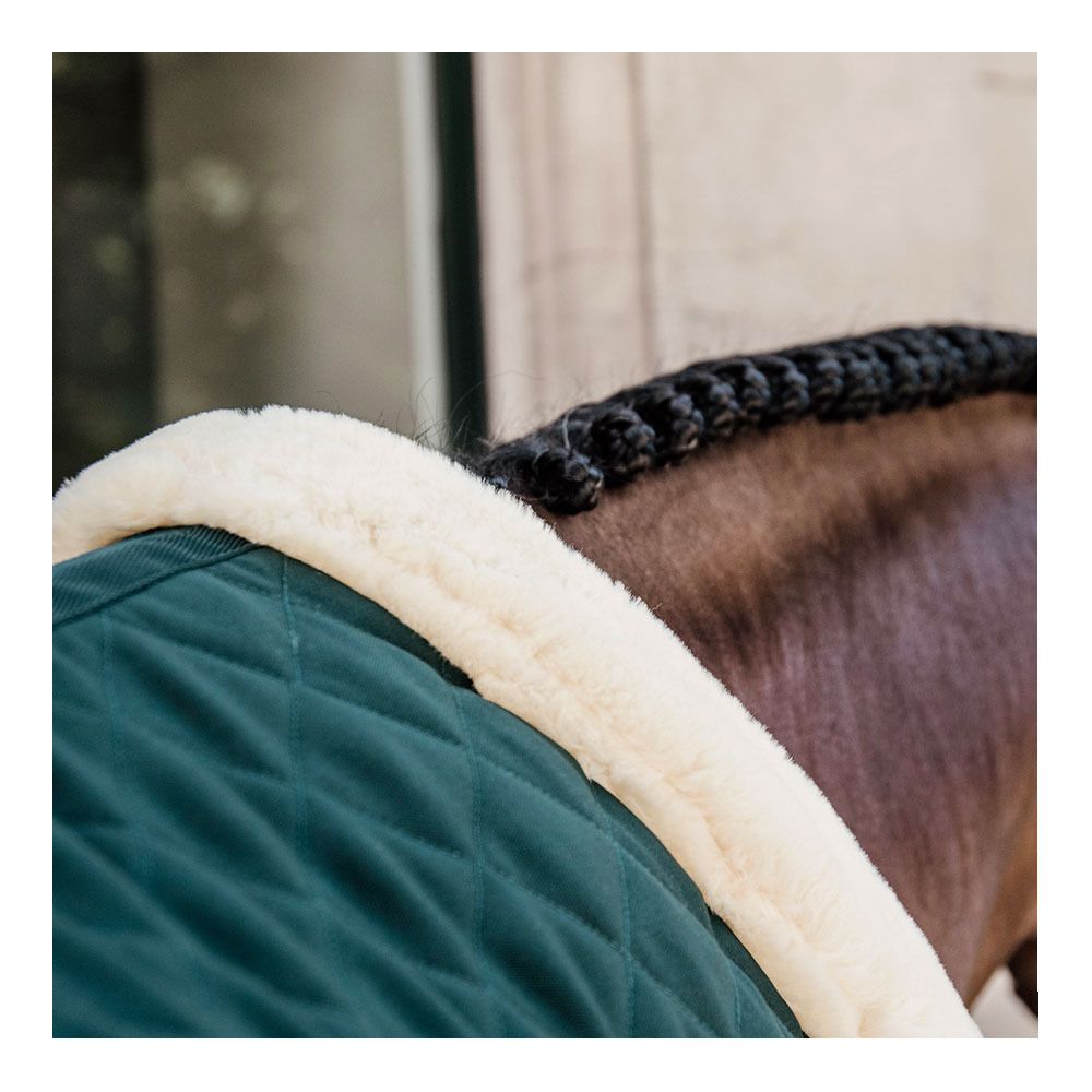 Kentucky 52101 160G - Couverture de présentation dark green