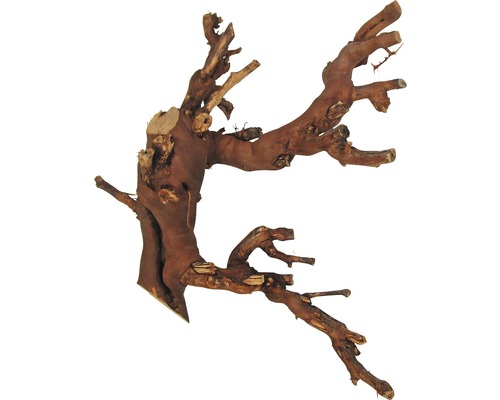 Terrariumdecoratie: donker middelgroot druivenhout, 1 stuk