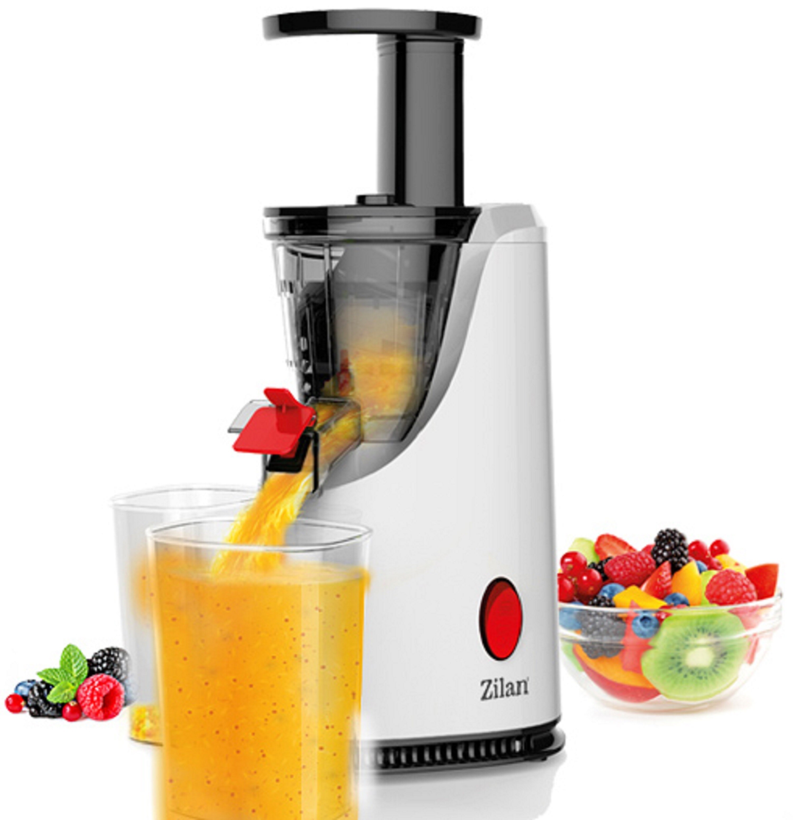 Zilan Entsafter Slow Juicer Saftpresse Edelstahlklinge 600ml 200W