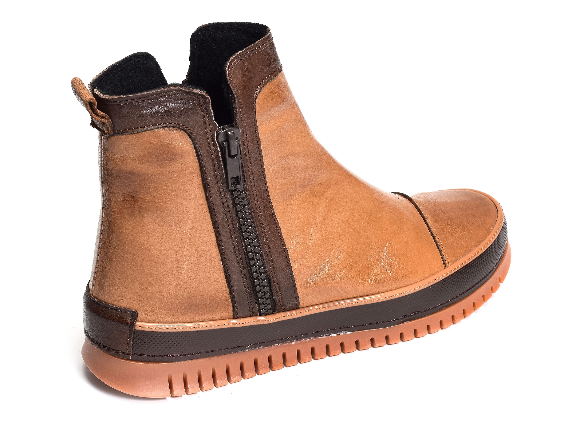 Becot camel