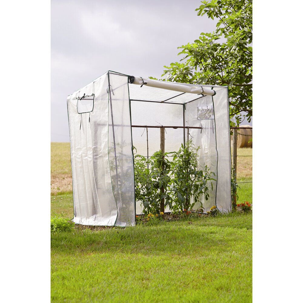 Serre à tomates en métal avec housse en plastique