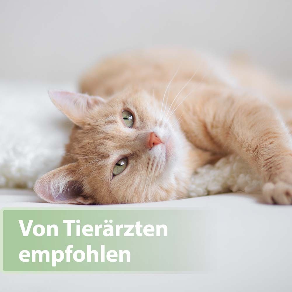 Felisept® Zahnpflege Finger-Pads für Katzen