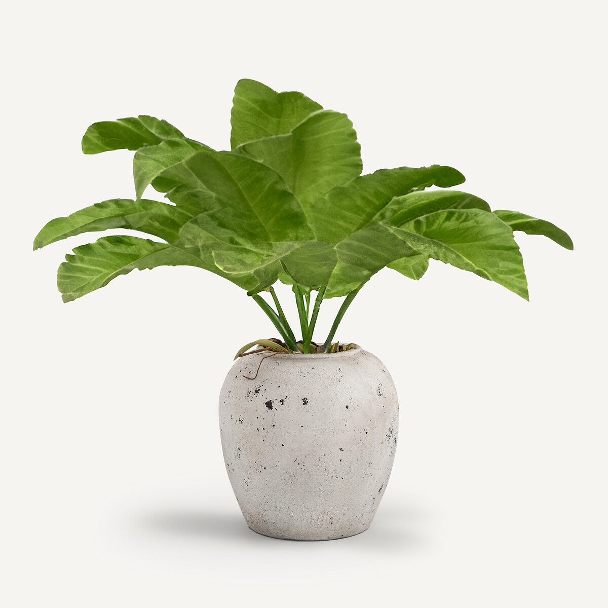 AM.PM<br>Vaso de flores com efeito usado, Enzo