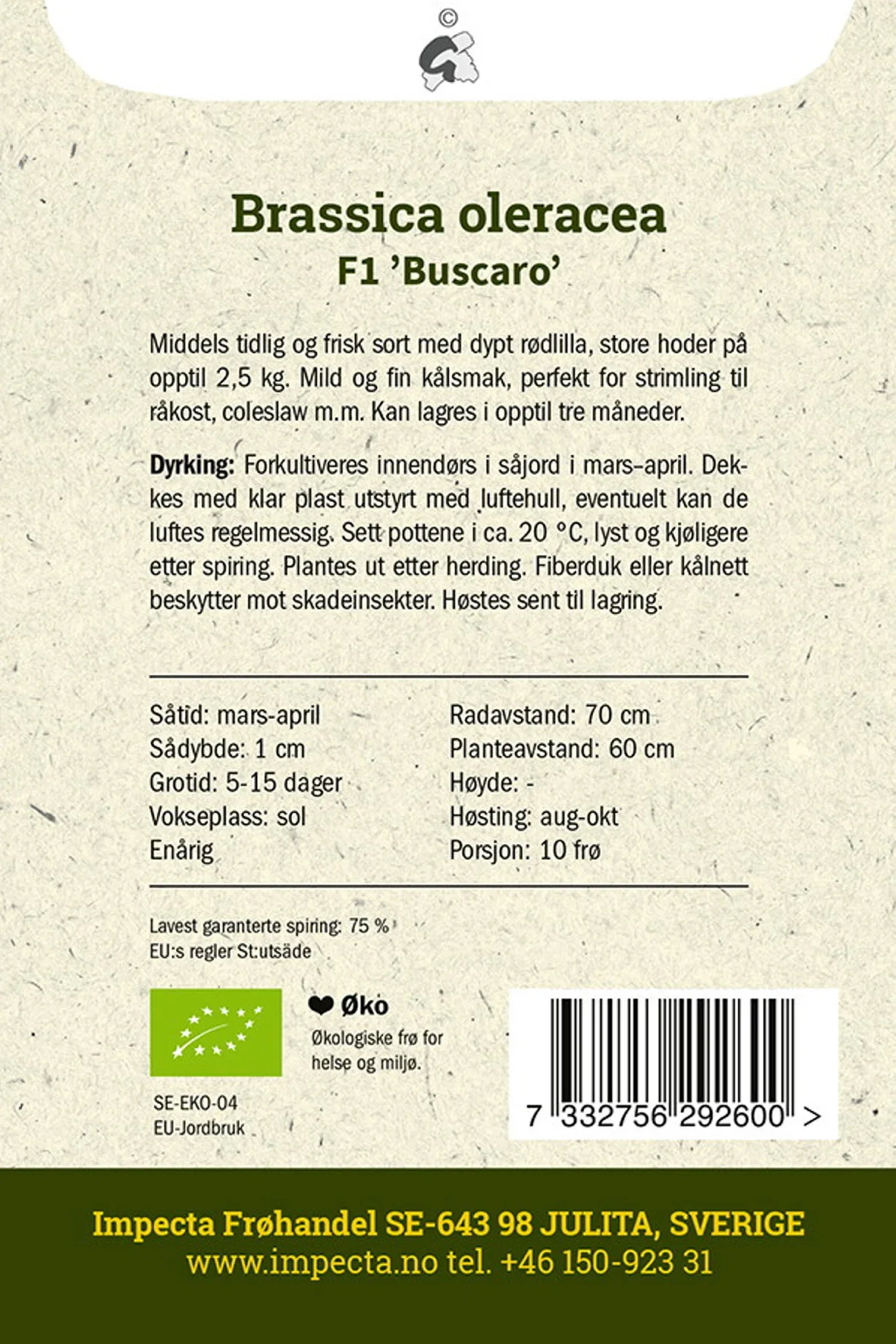 Brassica oleracea F1 'Buscaro' Rødkål F1 'Buscaro'