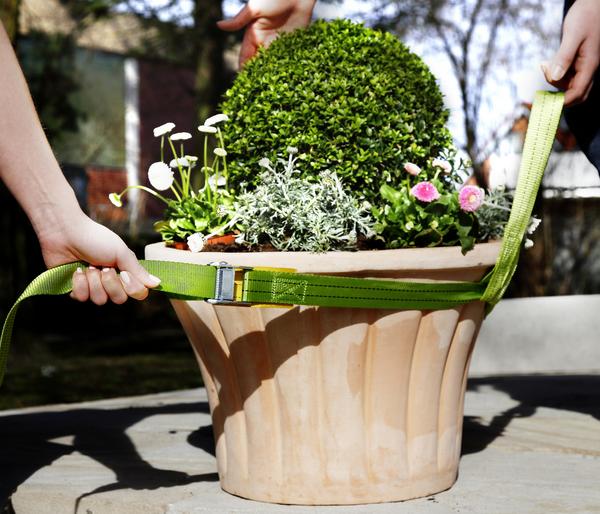 Bio Green Tragegurt für Kübelpflanzen,