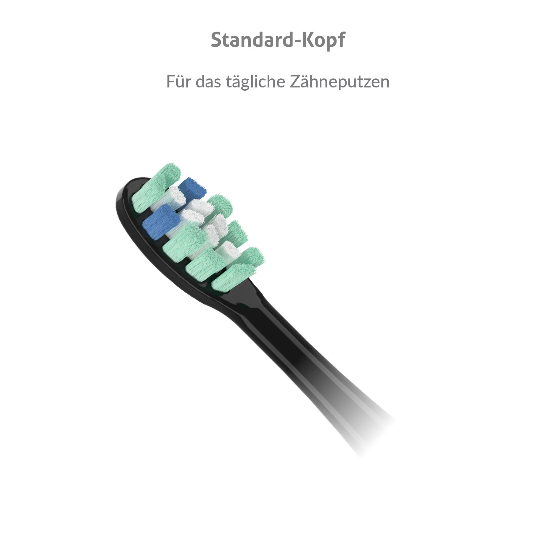 TrueLife SonicBrush Clean-series Köpfe 2-Pack