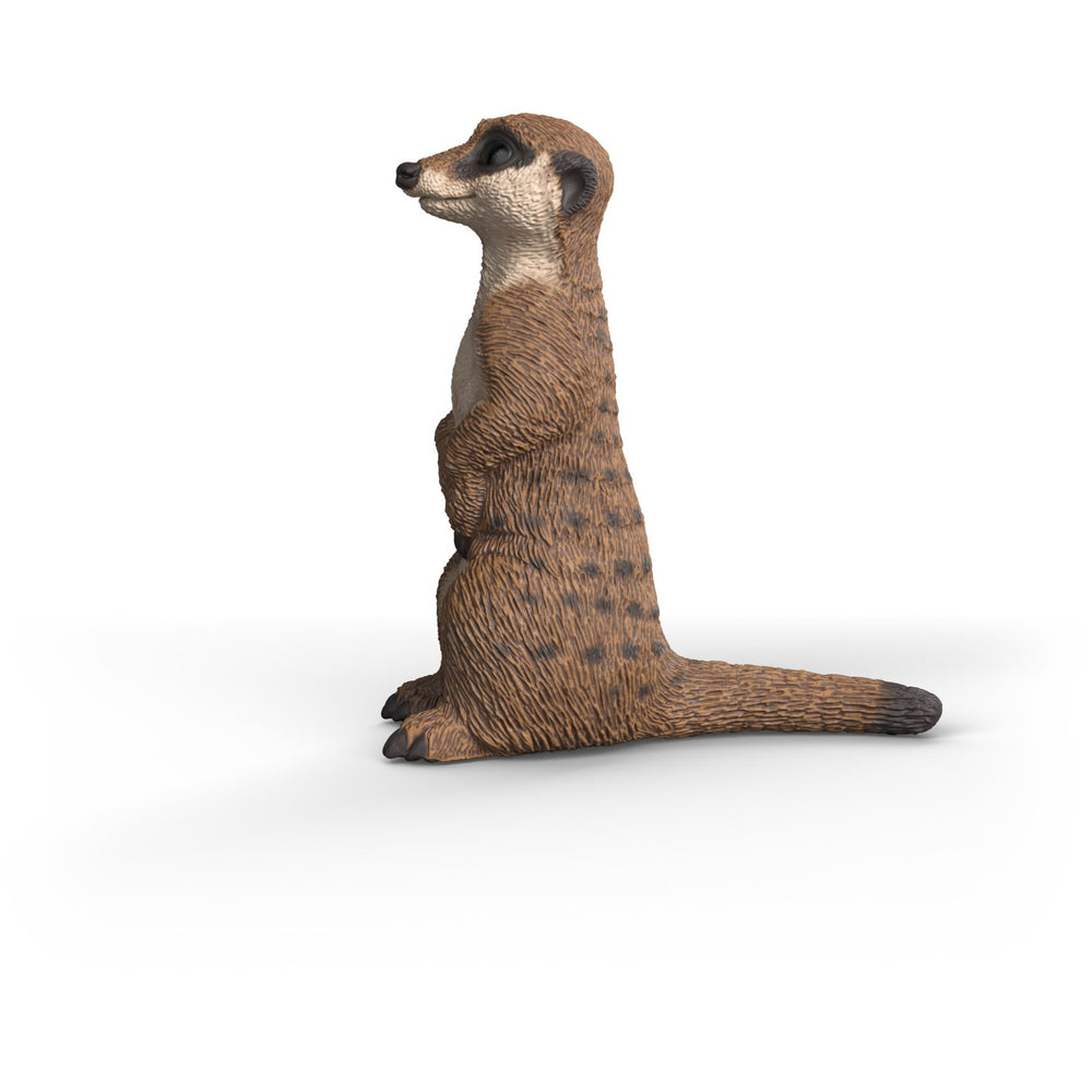 Køb Schleich Surikat