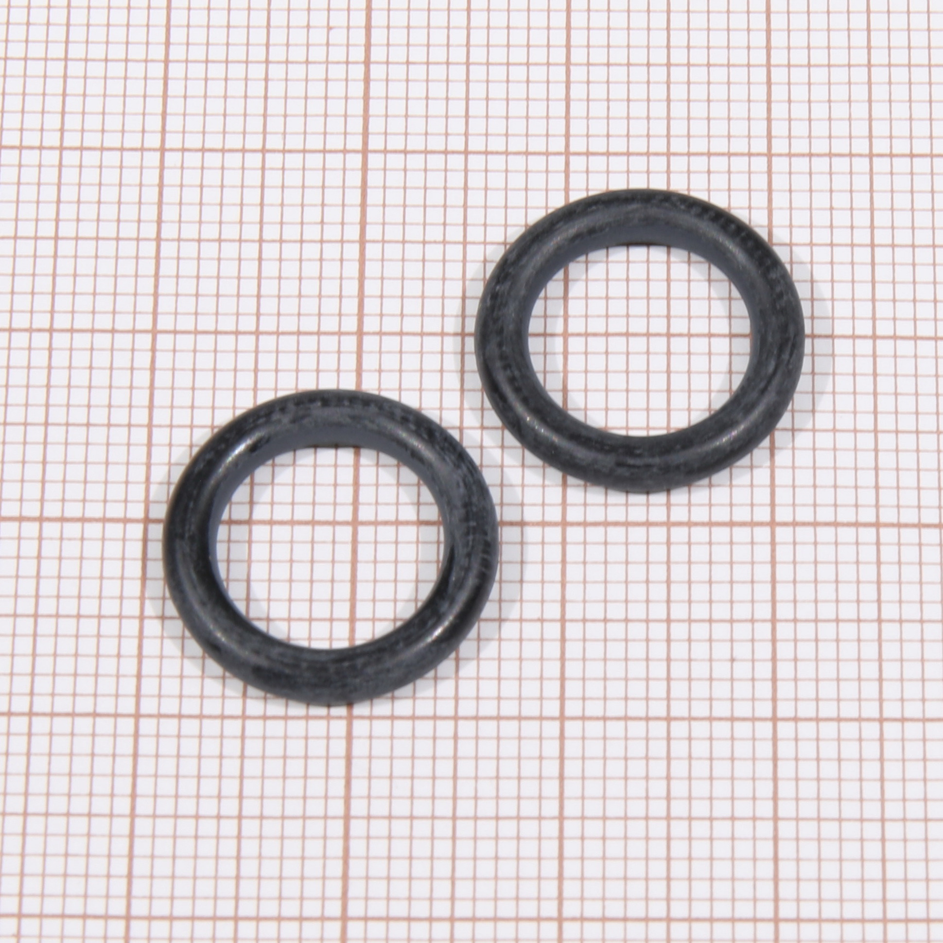 JBL ProFlora O-ring CO2 M-systeem