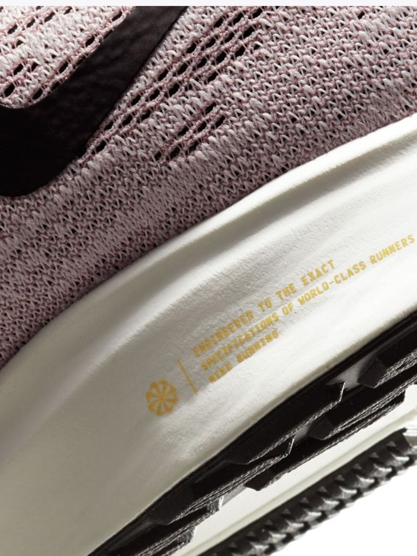 Air Zoom Pegasus 36