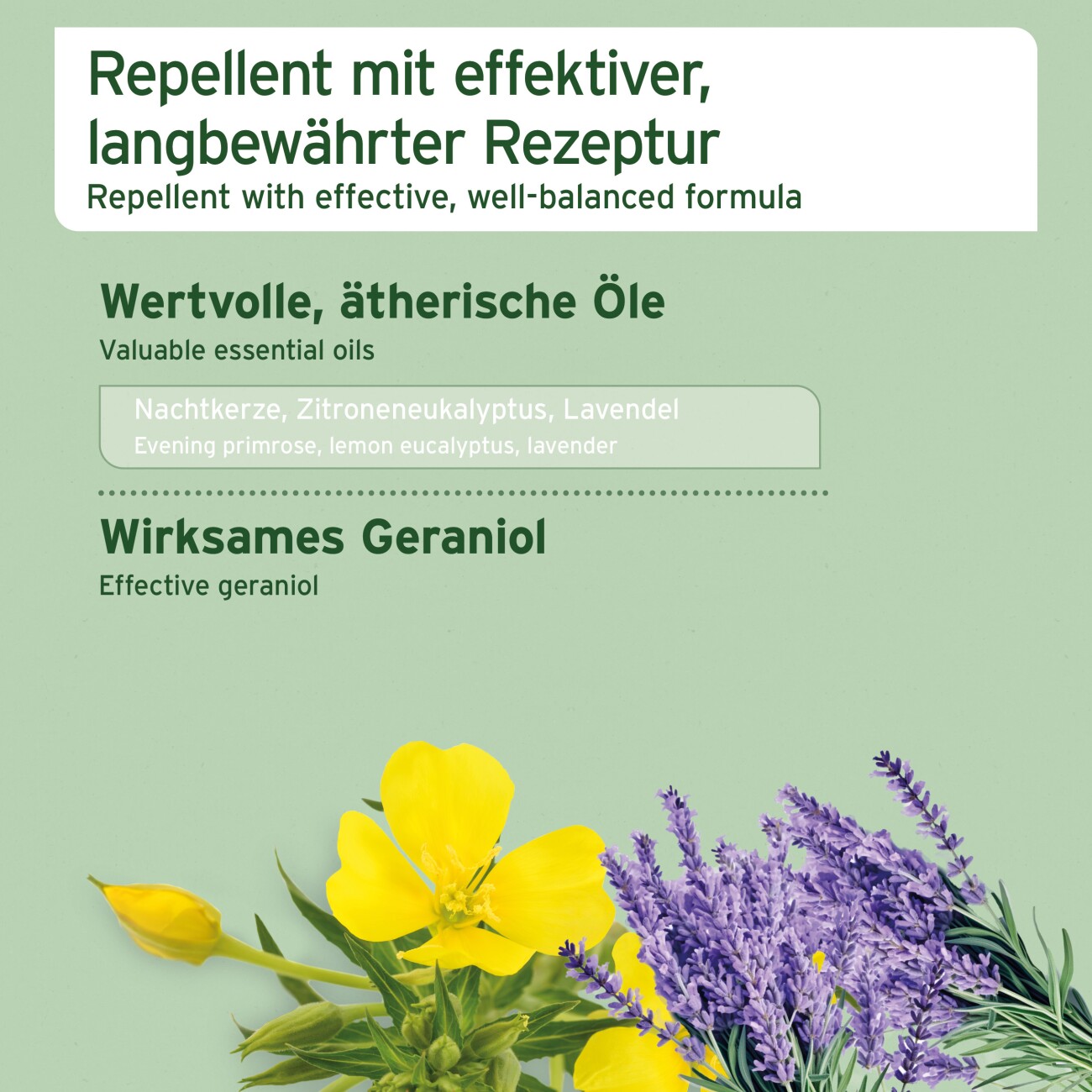 AniForte Grasmilben-EX Spray für Hunde 250ml