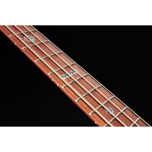 ESP LTD TA-204 FRX