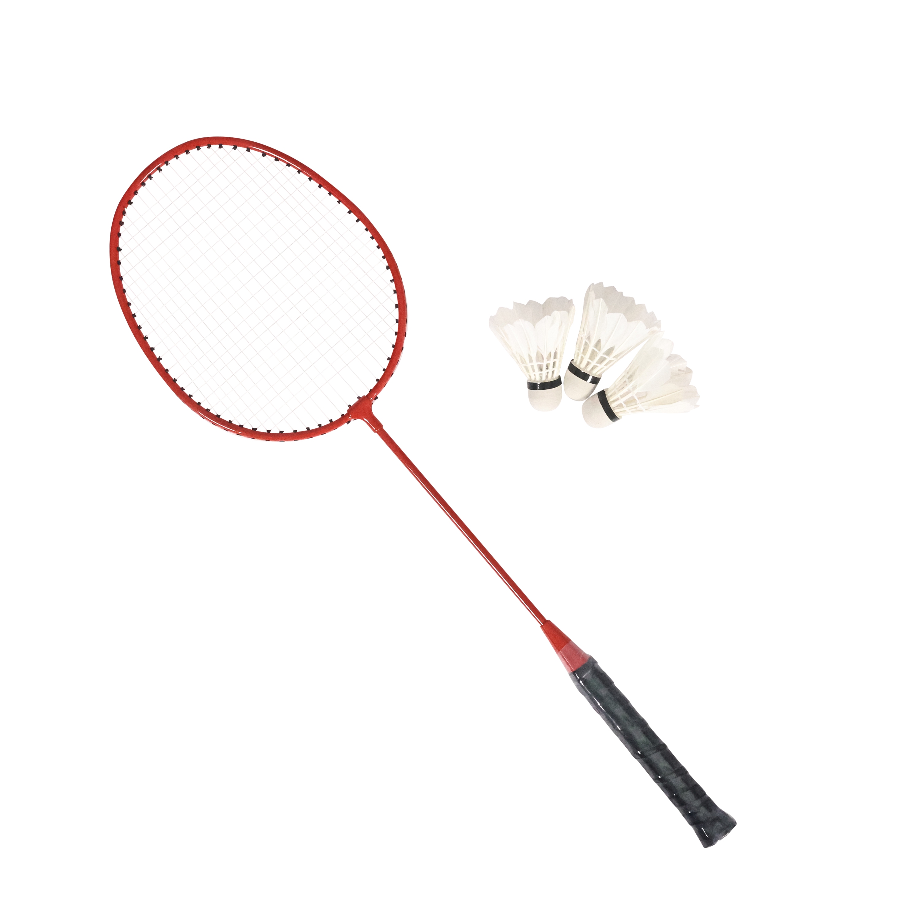 Volleyball und Badminton Set