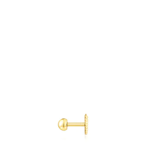 Jardim Virtual Golden IP maple piercing oruga