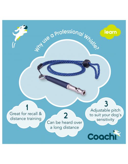Coachi Professional Whistle Hondenfluit - Hondenopvoeding - Navy Zilver