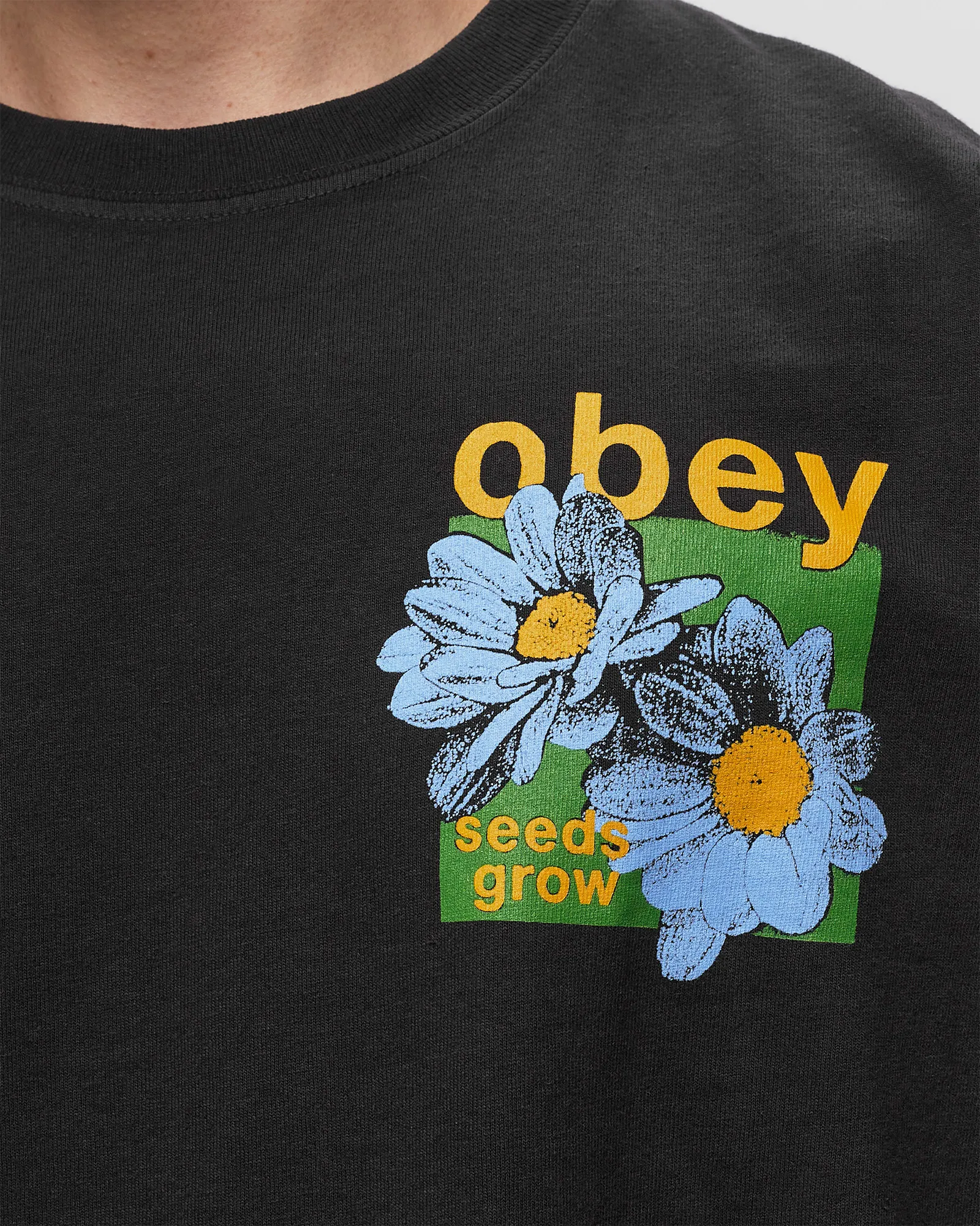 Obey Obey seeds grow