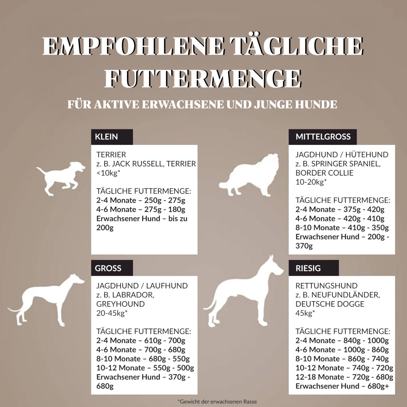 Dr John Getreidefreies Huhn & Kartoffeln 2 kg