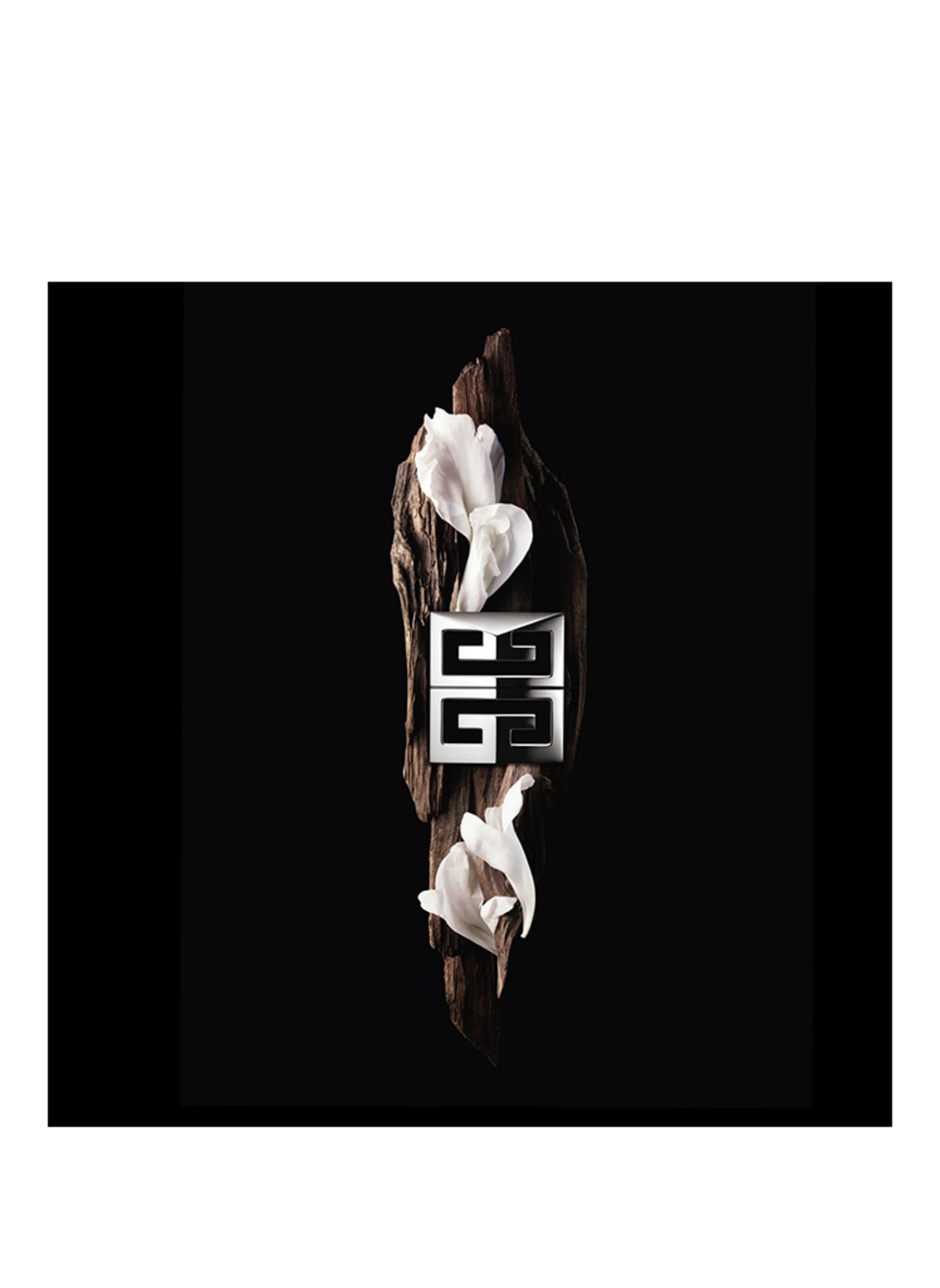 GIVENCHY BEAUTY GENTLEMAN SOCIETY