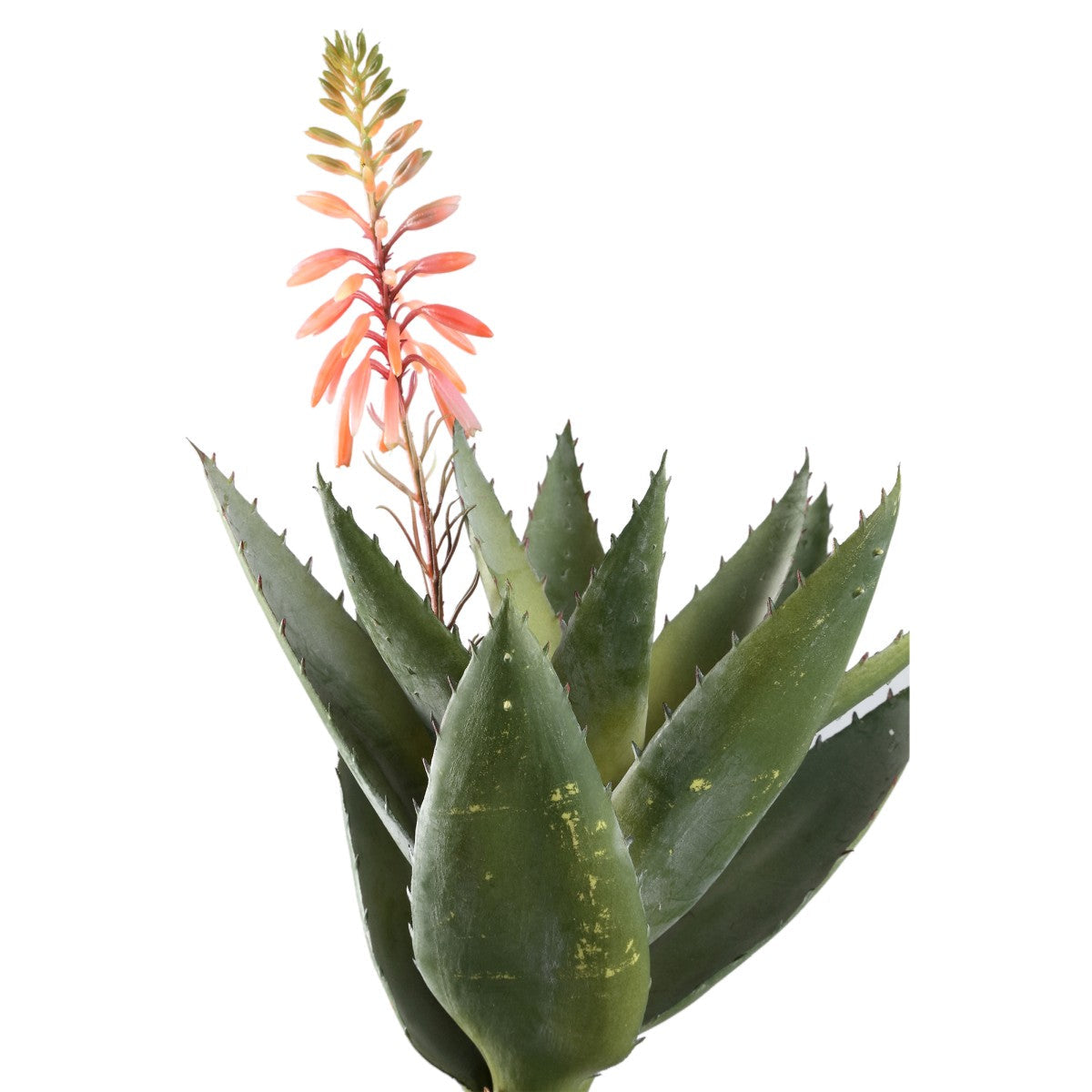 Ptmd plante artificielle succulent - 32x21x46 cm - plastique - l'or