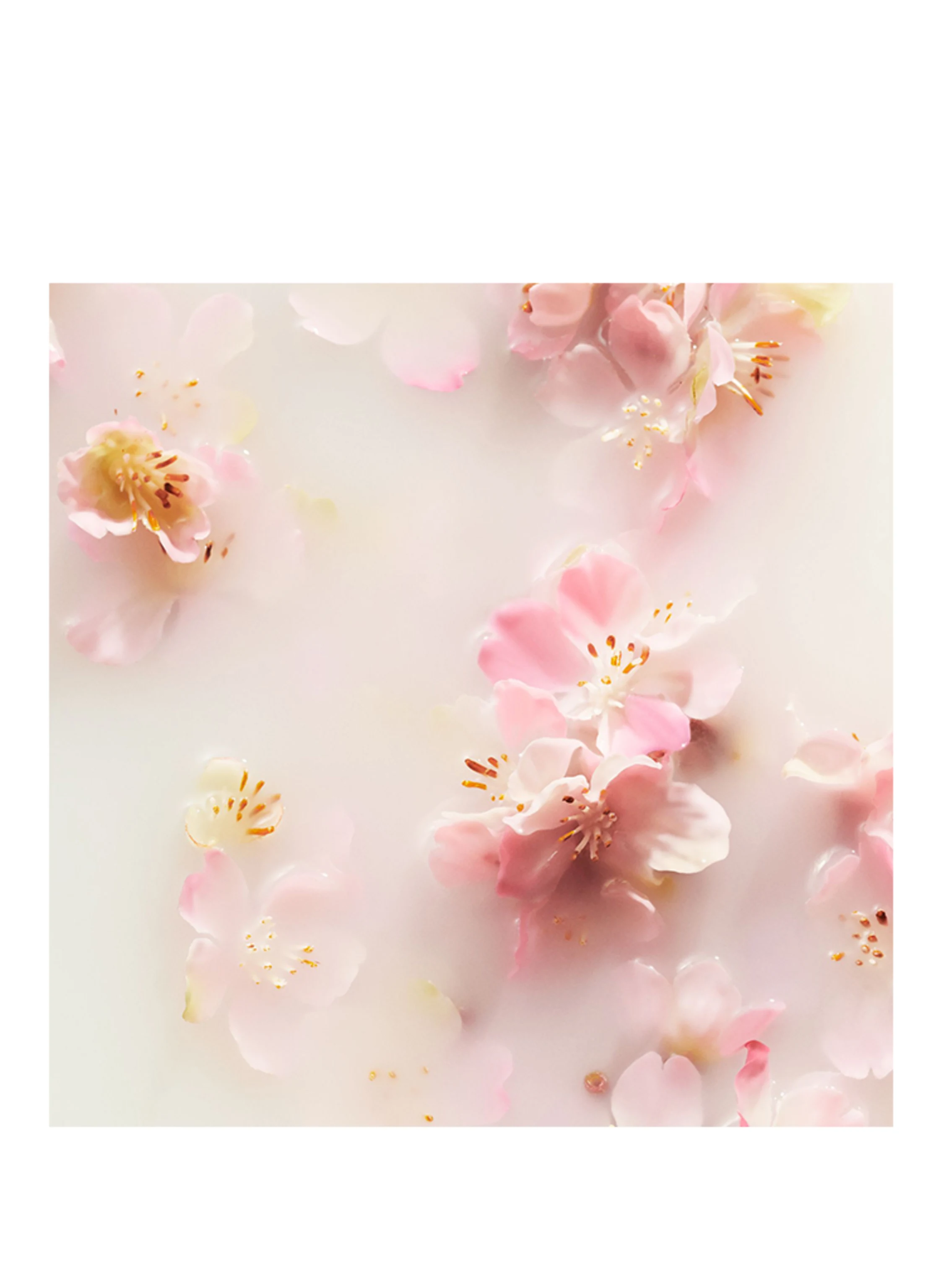 RITUALS THE RITUAL OF SAKURA