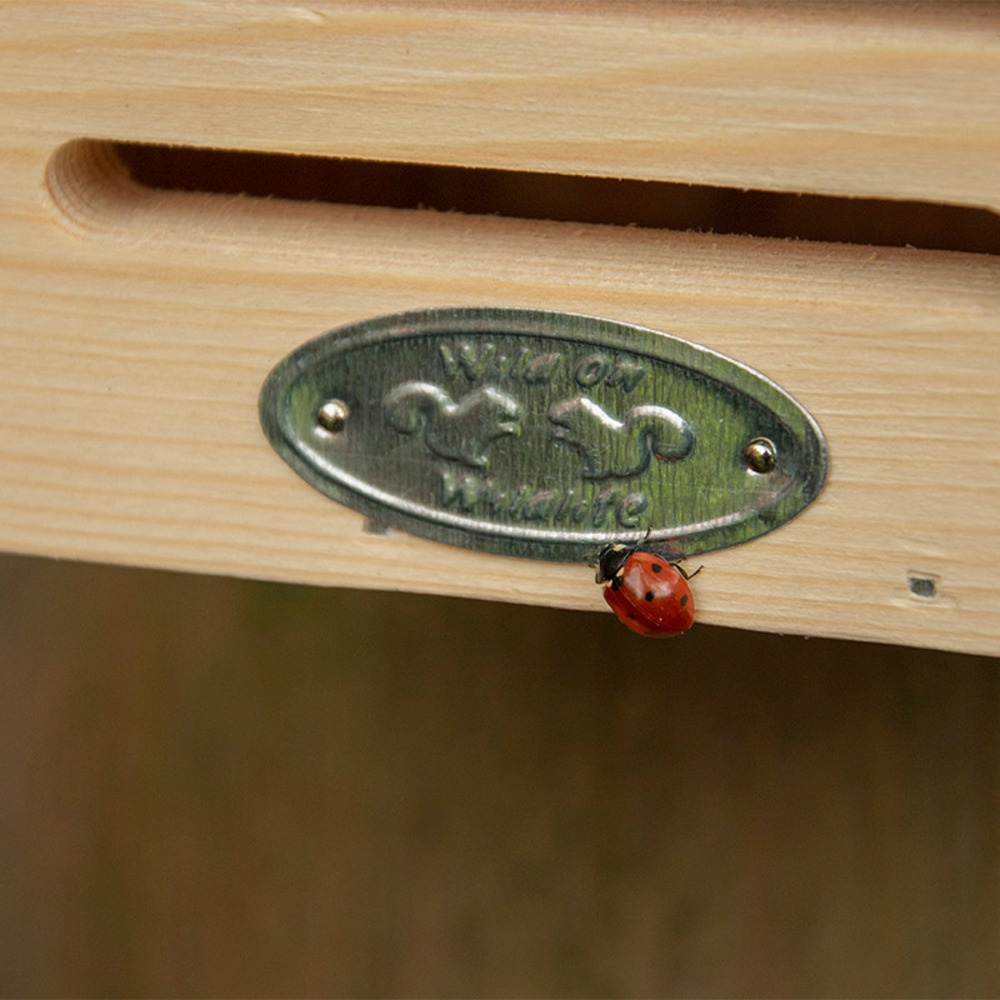 Maison à coccinelles, toit coloré avec silhouette coccinelles.
