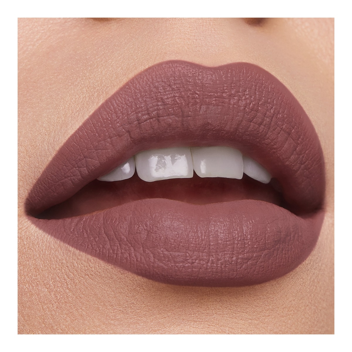 ESTEE LAUDER Pure Color Rouge à Lèvres Mat