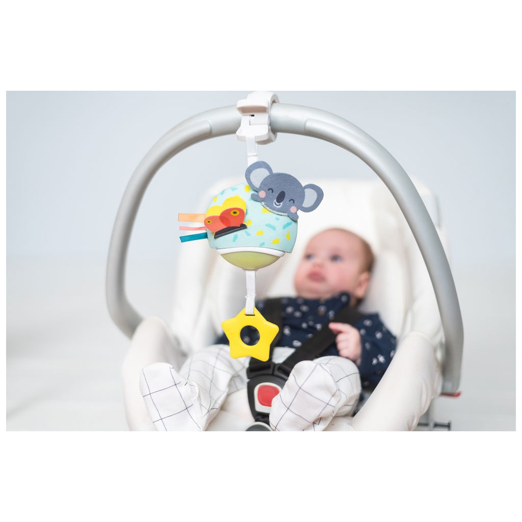 Taf ToysTaf Toys   Musikspielzeug mit Nachtlicht Koala