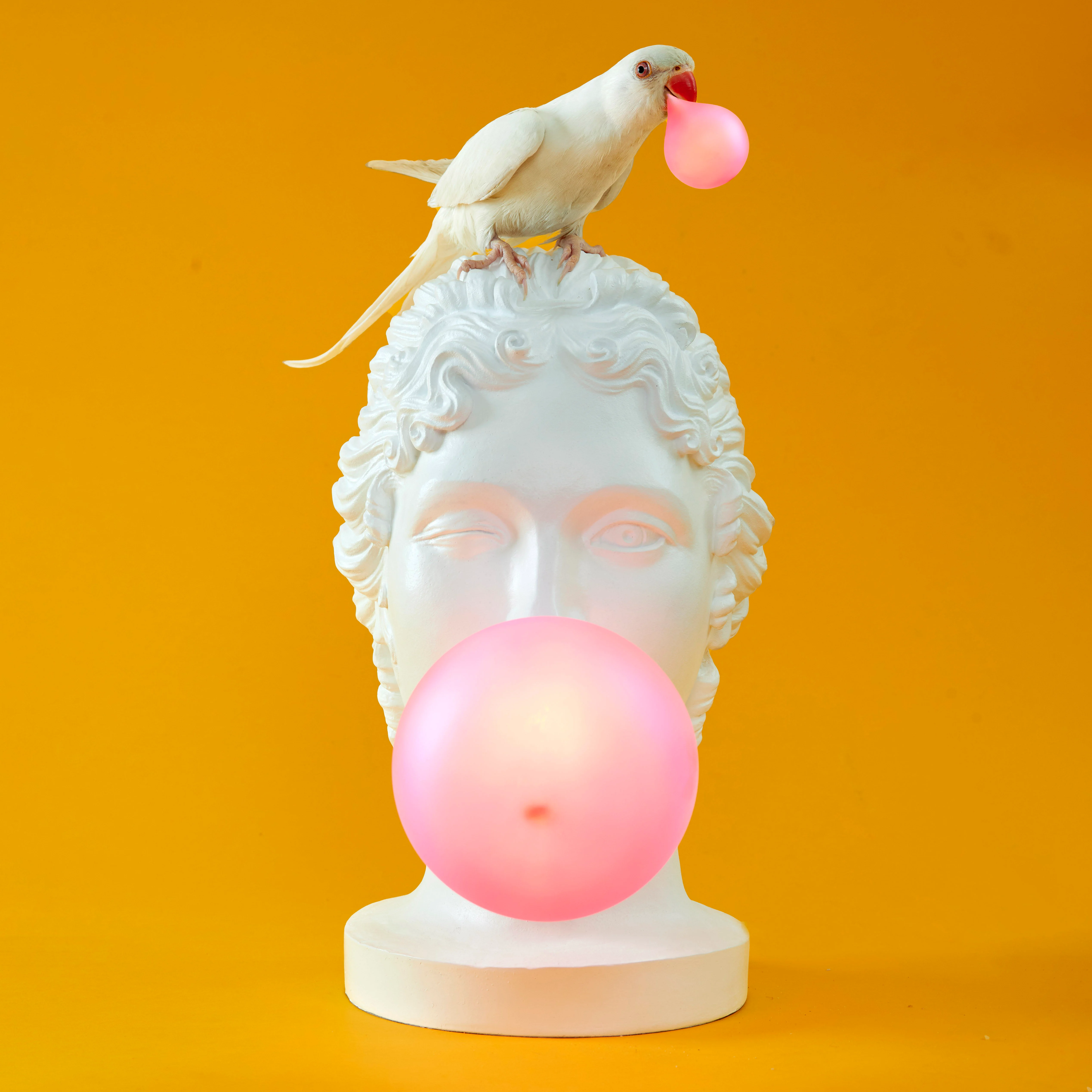 GRACE - Lampe de table | Blanc