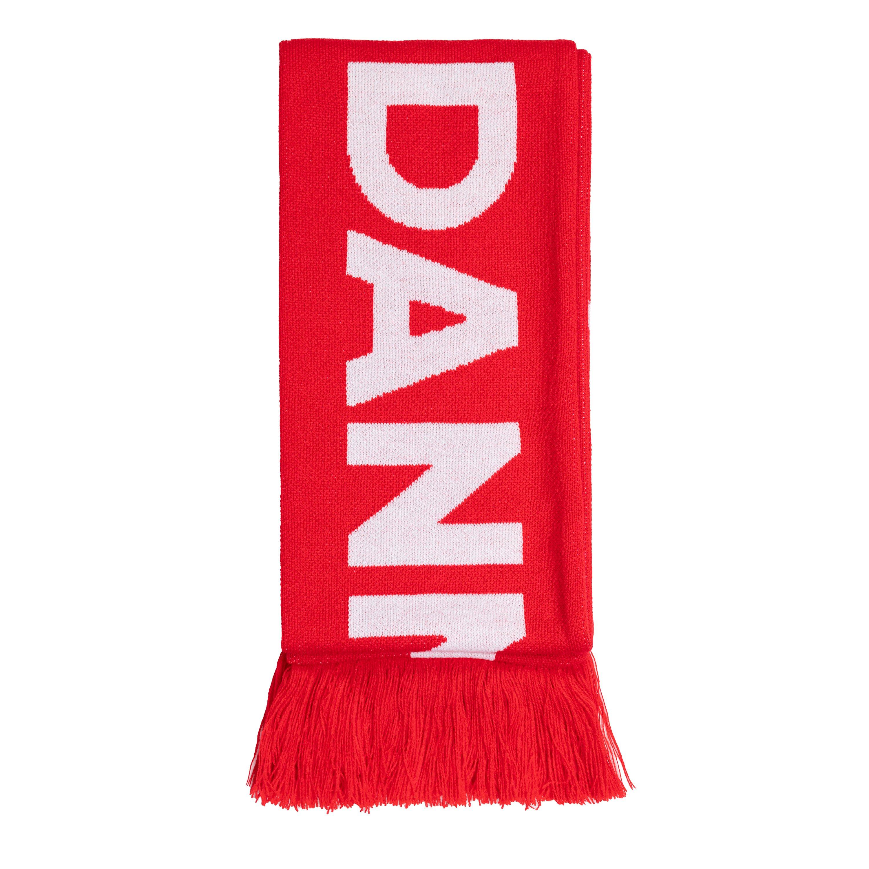 Team Euros 2024 Football Scarf