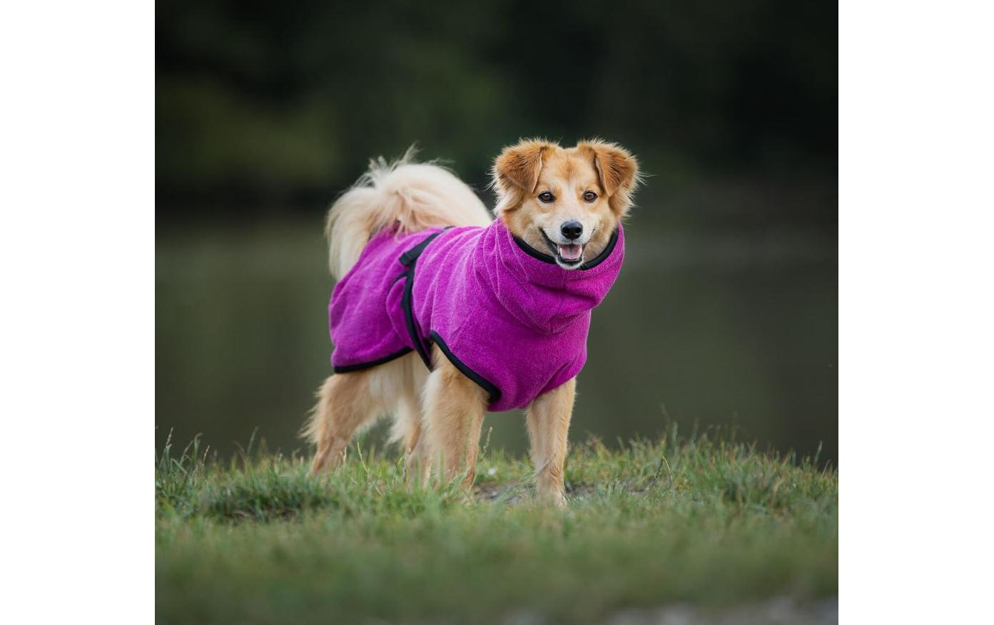 Bademantel XL, 68 cm, BerryHundebademantel