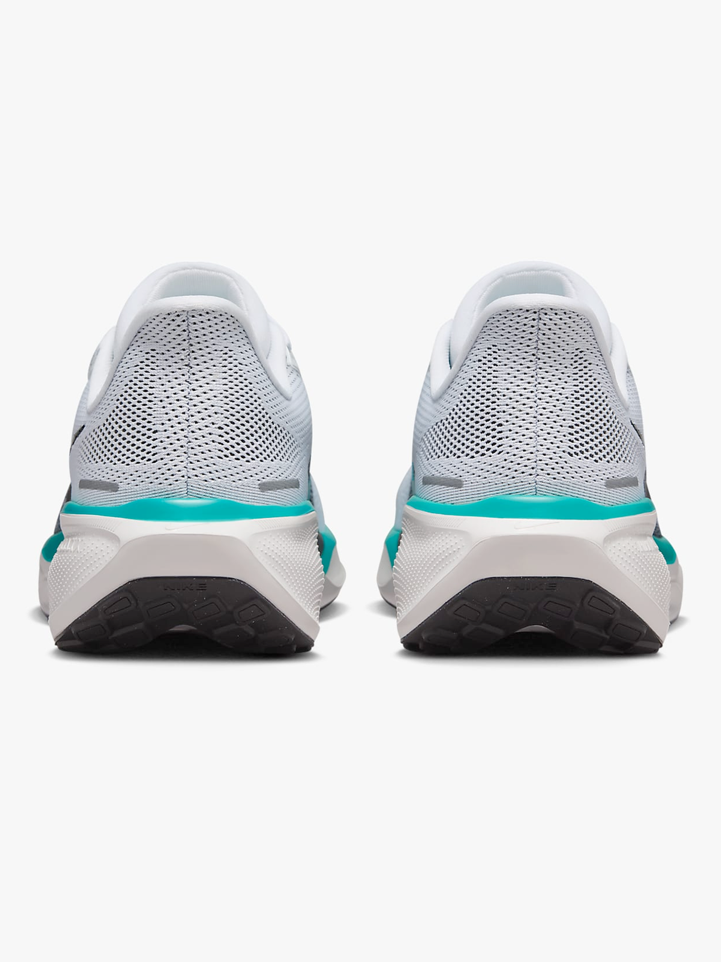 Pegasus 41