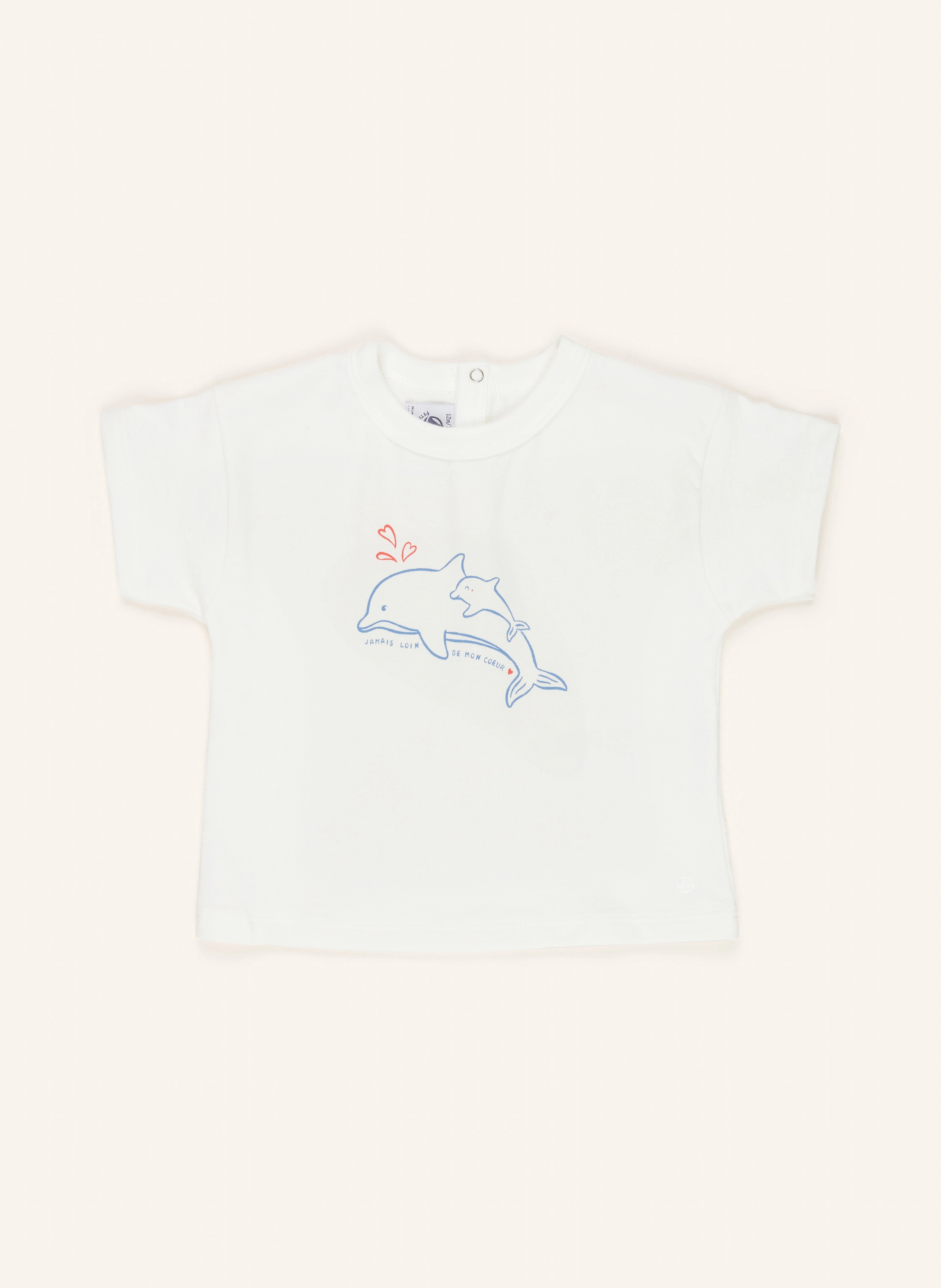 PETIT BATEAU T-Shirt