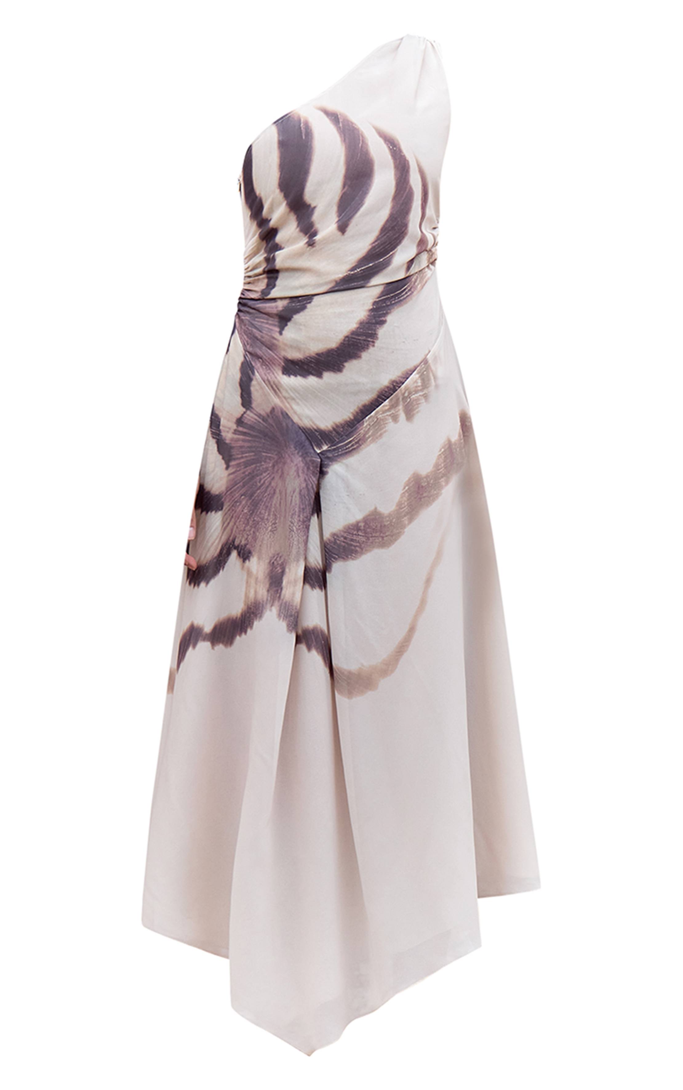 Amande Robe Maxi Asymétrique Imprimée En Mousseline À Une Épaule