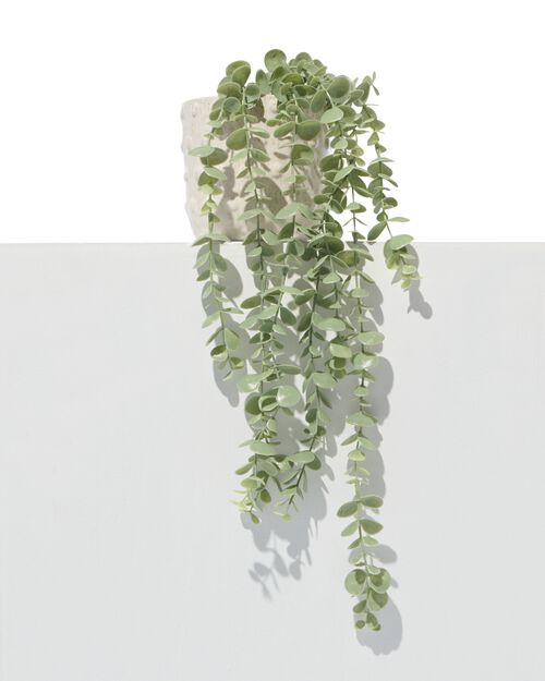 plante artificielle eucalyptus