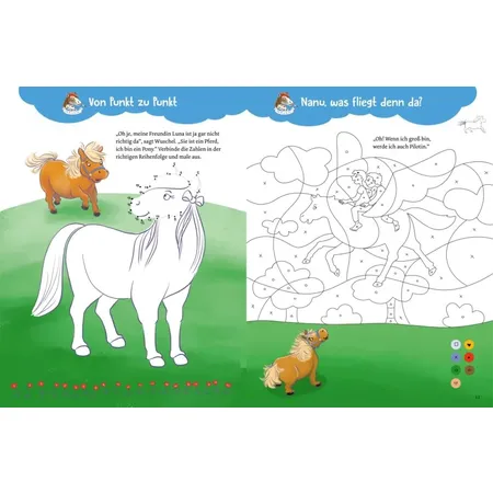 Carlsen Verlag Mein Pony-Mitmachbuch