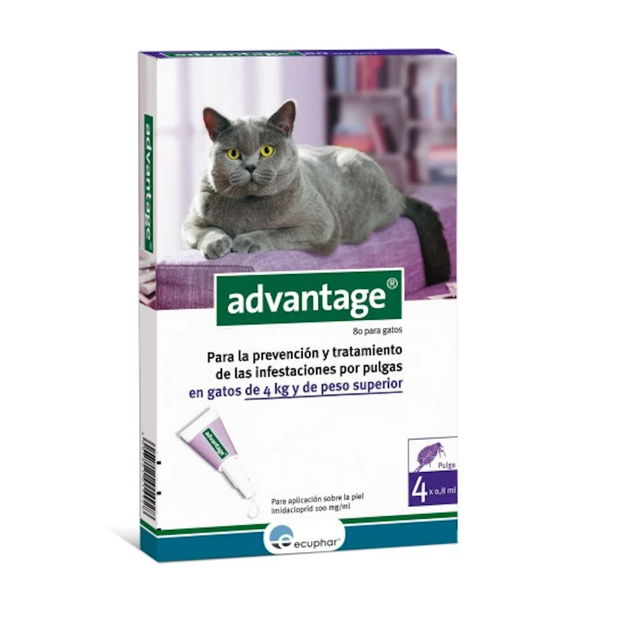 Pipetas antiparasitárias Advantage para gatos