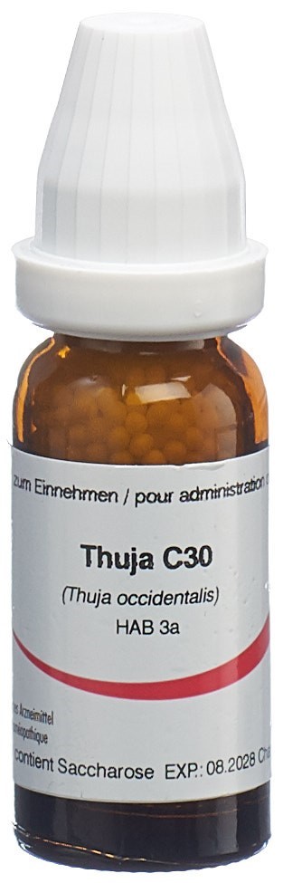 Omida Thuja Glob 30 C 14 g