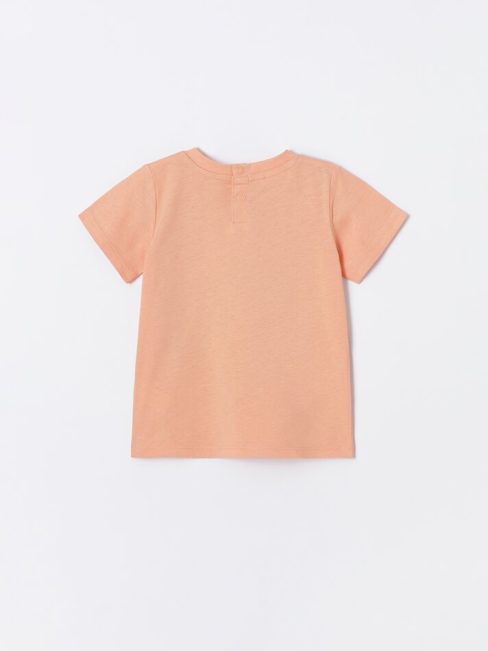 Conjunto de camiseta de lã e bermuda - Arena Vigoré