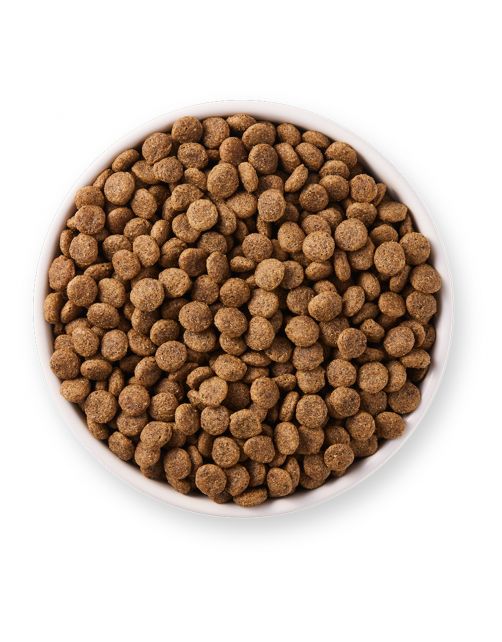 Yarrah Biologisch Grain-Free Kip - Kattenvoer