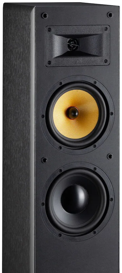 Davis Acoustics Mani MKII Noir (la paire) Enceintes colonne