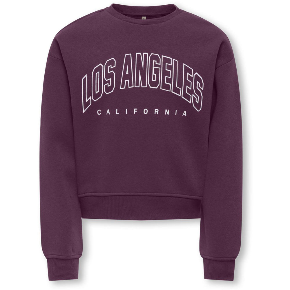 Køb kids ONLY Mauve Wine Los Angeles - California Kogsweat Life Ls Crew Ovz Stat Swt Noos